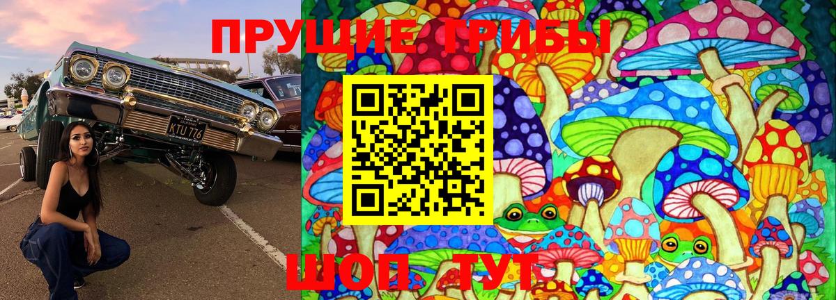 Галлюциногенные грибы прущие грибы Кировск